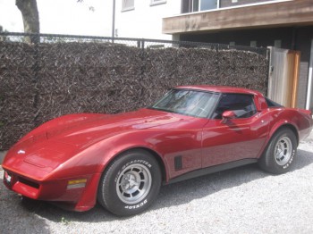 Corvette C3 T Roof   Burgundy Red