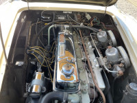 Austin Healey 3000 Mk1  2.9cc BT7 Roadster  2+2 ( Project) 1960