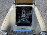 Austin Healey 3000 Mk1  2.9cc BT7 2 +2  Roadster ( Project) 1960